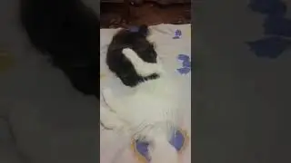 It's one step from love to hatred