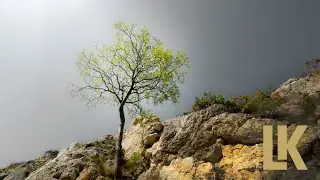 Resilience