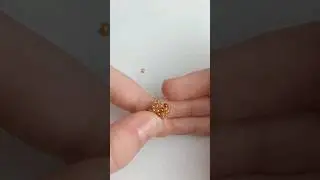 Тараканчик :D 
