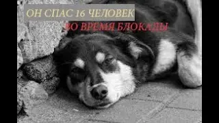 ЭТА ИСТОРИЯ ПОВЕРГЛА ВСЕХ В ШОК!!!ПЕС СПАС ЛЮДЕЙ ОТ ГОЛОДА ВО ВРЕМЯ ВОЙНЫ!