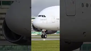 King Of The Skies TAKEOFF ✈️👑