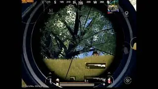 Pubg Mobile Status