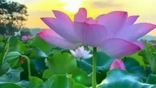 Душа откроется Весне ...