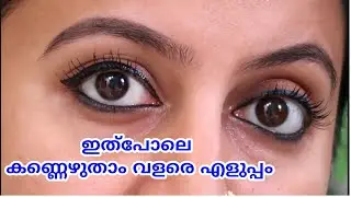 വളരെ എളുപ്പത്തിൽ ഭംഗിയായി കണ്ണെഴുതാം.. വളഞ്ഞു പുളഞ്ഞു അലമ്പാവുമെന്ന പേടി വേണ്ട..