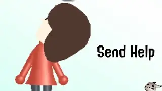 Something is wrong with the Mii Channel...(mii channel corruptions)