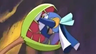 Inside a plant's mouth (KRBAY E18)