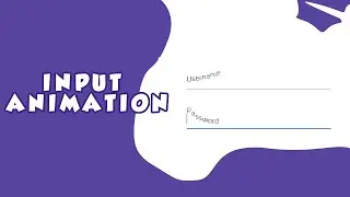 Input  Animation         HTML | CSS | JS