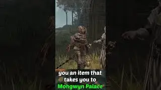Can you access Elden Ring's DLC?