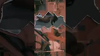 Fun Run n Gun Handheld Gym Video