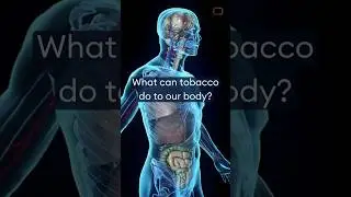 What can tobacco do to our body?