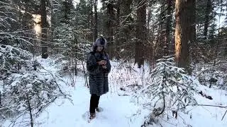 Лесная  сказка!