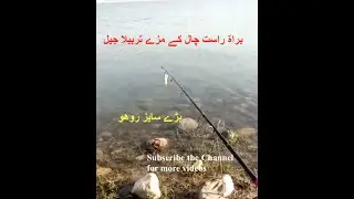 Catching Rohu Fish, Tarbela Dam Fishing, Live Chaal