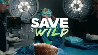 EMPOWER Mystic Aquarium