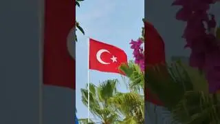 ИНВЕСТИЦИИ В НЕДВИЖИМОСТЬ АЛАНЬИ ВМЕСТЕ С EAGLE PROPERTY #shorts #турциянедвижимость
