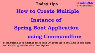 How to run multiple instances of Spring Boot App from command-line & how to pass name for instances