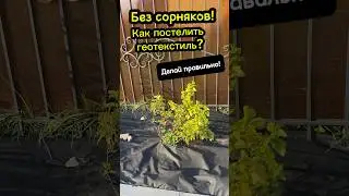 Укладка геотекстиля. 