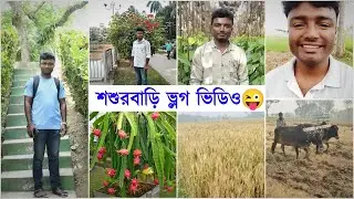 🥰শশুরের গ্রামের বাড়িতে জামাই এর Vlog Video