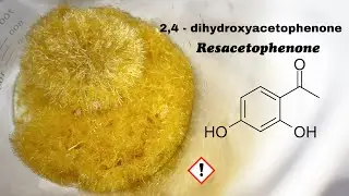 Resacetophenone (2,3 dihydroxyacetophenone) organic synthesis