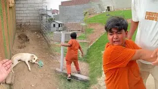 Ye Kia Hogea Chiki Se?? ||Dra Diya Yar||