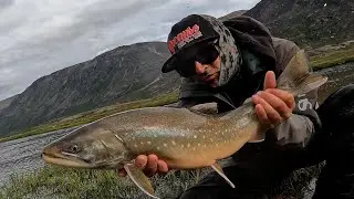 A pesca di Salmerini Artici in Groenlandia | Ticinopesca
