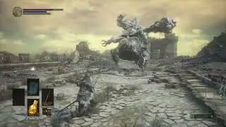 Dark Souls 3 - Stray Demon Fight