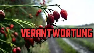 Verantwortung
