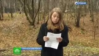 Перевозка надгробия