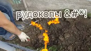 "Цитаты дня" с Константином Петрусенко