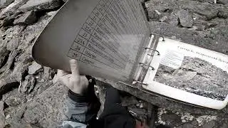 Снова мы)