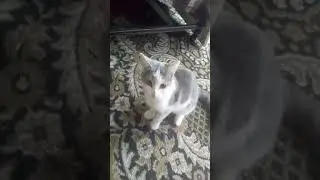 не делаи это 😠
