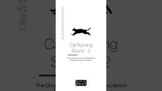 Cat Running Sound Effect 🐈🐱 / Cat SFX / Running Cat 