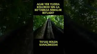 AGAR YER YUZIDA KISLOROD 50% GA KO'TARILSA NIMA BO'LADI?