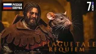 КРЫСЫ И ВОЙНЫ ▷ Прохождение: A Plague Tale Requiem - #7