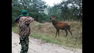 Driven deer hunt!!! Venison yakhni over a fire
