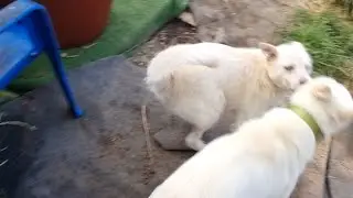 꼴통들의 보기 편한 아침 풍경