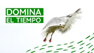 5. Domina el TIEMPO de exposición. Teoría y práctica, tips y consejos. [Curso gratis de fotografía]