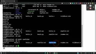 Linux Commands Part 1: Basic File Operations