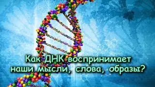 Как ДНК воспринимает наши МЫСЛИ, СЛОВА, ОБРАЗЫ?