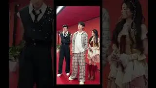 #白鹿