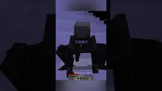 Minecraft Meme
