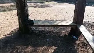 береги природу Мать твою ❤️