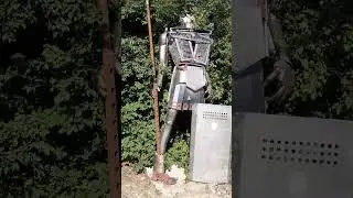 1 июля 2024 г.