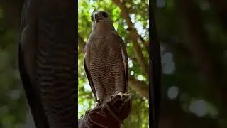 Roxette - No se si es Amor... pero lo parece. Y si lo parace... no hay dudas: Es Amor. ☺