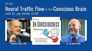 #20 — Neural Traffic Flow in the Conscious Brain with Dr. Jay Giedd