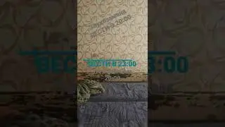 Анонс Вести в 