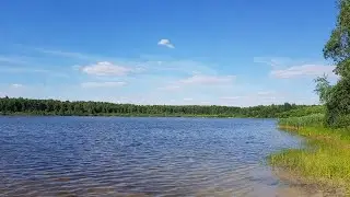 Озеро Грибовское Владимирская область - Удачные Земли