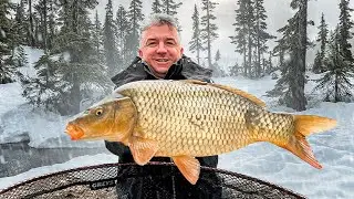 Carp fishing in January. Water 1 degree. Catch it or not?