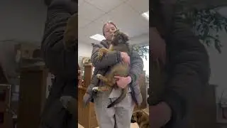 Самое милое видео💔 
