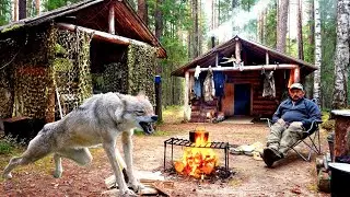 A dying wolf came to the forester's house. You won't believe what happened next!