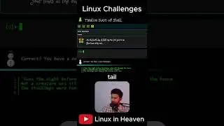 Linux Challenges 